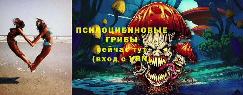 Галлюциногенные грибы Magic Shrooms  Выборг 